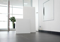 Ecosun infrarood panelen  width=