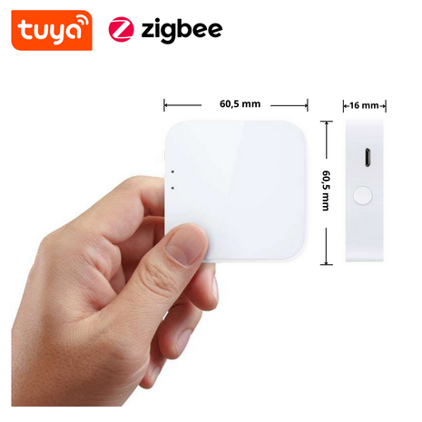 Zigbee Gateway voor Echo Zigbee