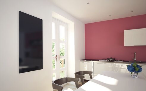 Infrarood Paneel Serie GS 80 x 120 cm Zwart - 850 Watt